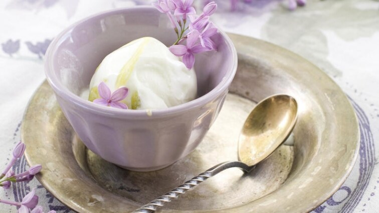 Domácí jogurtová zmrzlina s nízkým obsahem laktózy