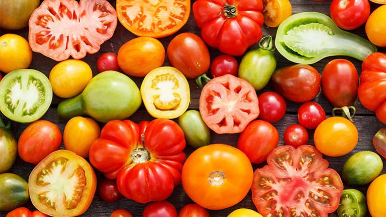 Co je rajče? Ovoce nebo zelenina?