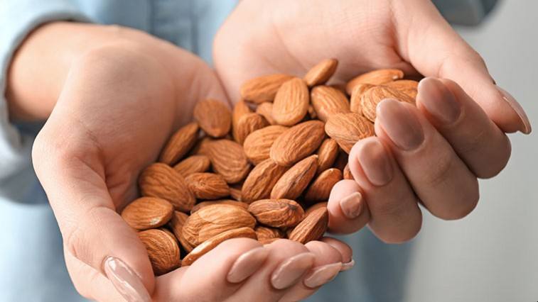 Mandula – agyserkentő gyerekeknek és felnőtteknek