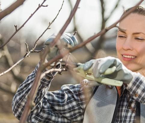 Prvé práce v záhrade sa začínajú vo februári