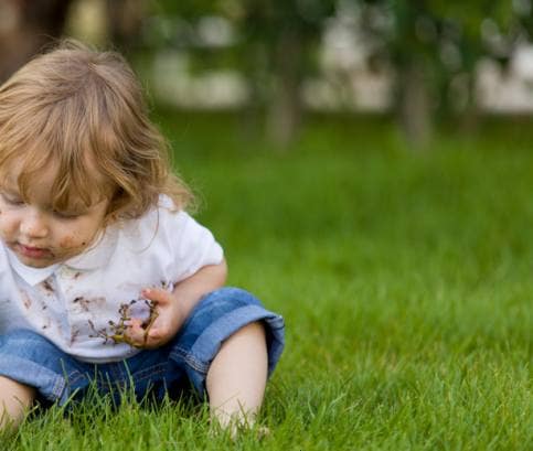 A baba immunitásának erősítése