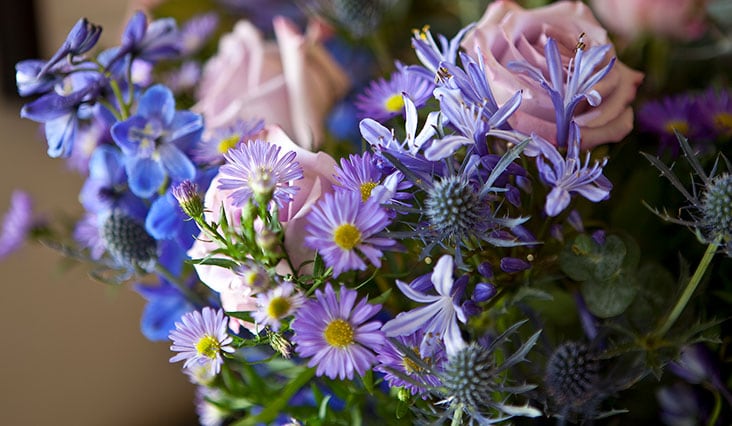 Reč kvetov: Komu darovať žlté ruže, komu biele ľalie?