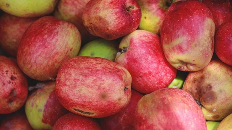 13 užitečných rad, aby ovoce zůstalo dlouho čerstvé!