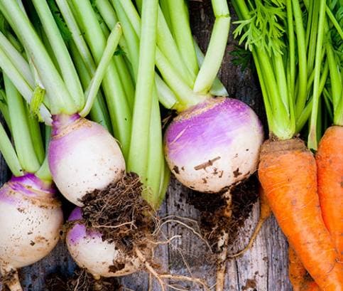 Sezónna jarná zelenina: Recepty prekypujúce vitamínmi