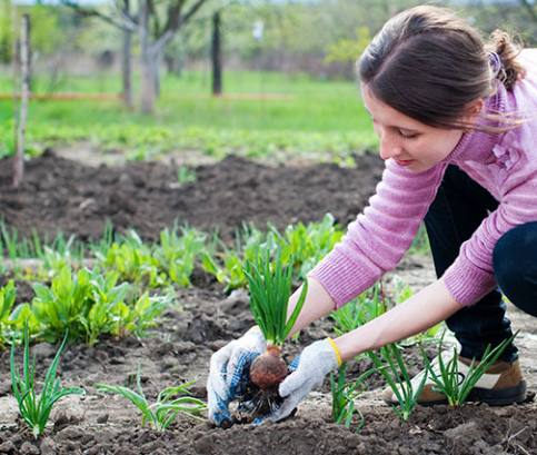 V březnu připravte zahradu na nový život