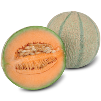Meloun Cantaloupe