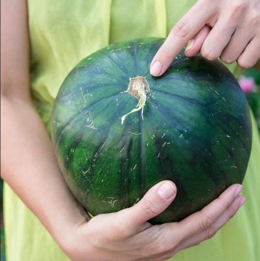 Hogyan válasszunk jó görögdinnyét? 5 kritériumnak kell megfelelnie
