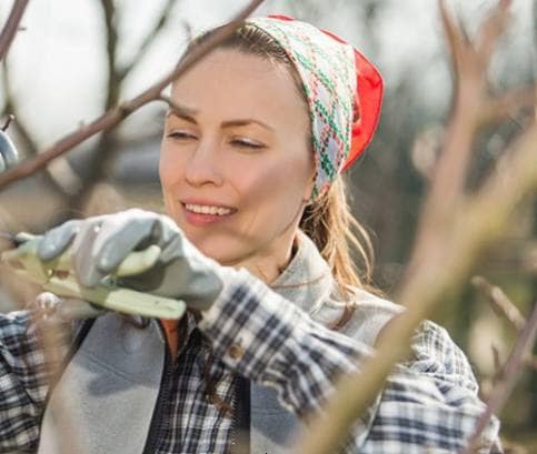 Már februárban megkezdődnek az első kerti munkák 