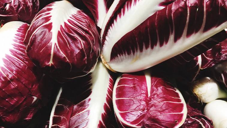 A csodálatos cikória ezerféle formája