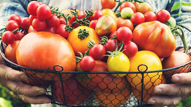 Rajčata: Je zdravější rajčatová polévka nebo šťáva?