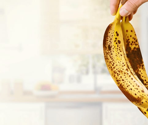 Žádné jídlo nazmar