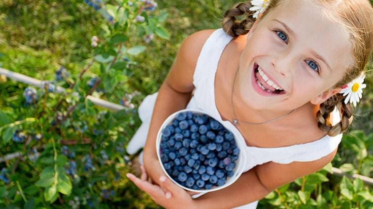 A "gyógyító" bogyós gyümölcsök: ezért edd őket!