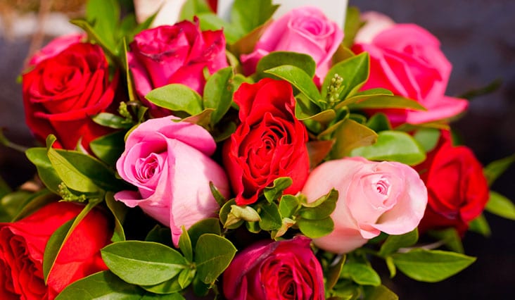 Virágnyelv - Mit jelképeznek a virágok?