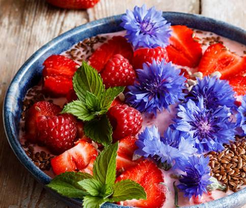 Letní bylinky a jedlé květy 