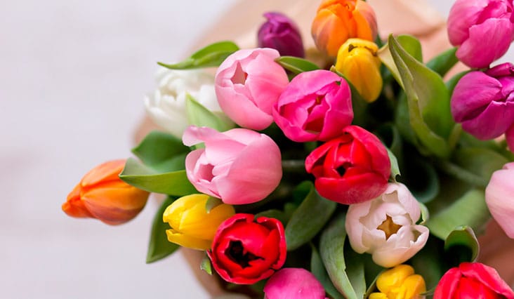 Virágnyelv - Mit jelképeznek a virágok?