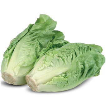 Tesco Šalát Little gem