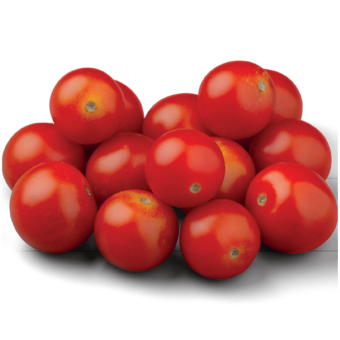 Bio cherry paradajky