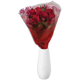 Ruže a gypsomilka 10+2