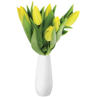 Kytica Tulipánov
