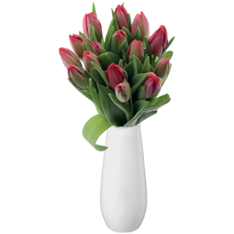 Kytica tulipánov