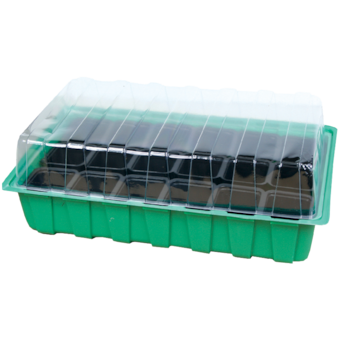 Miniparenisko zelené