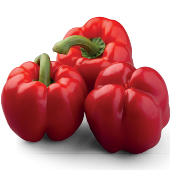 Bio paprika california