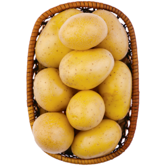 Magyar sárga újburgonya