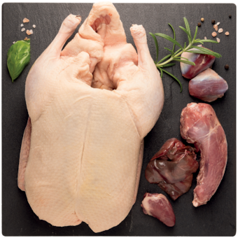 Goldenfood egész kacsa aprólékkal