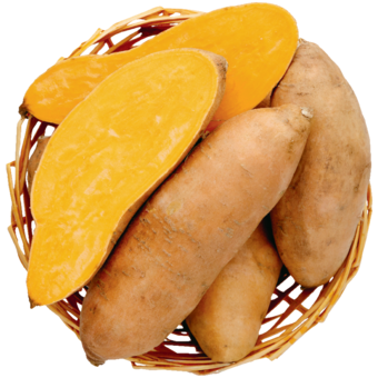 Édesburgonya