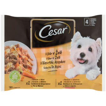 Cesar alutasakos kutyaeledel