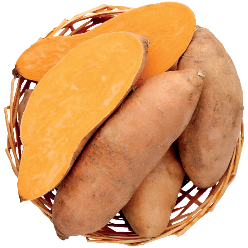 édesburgonya
