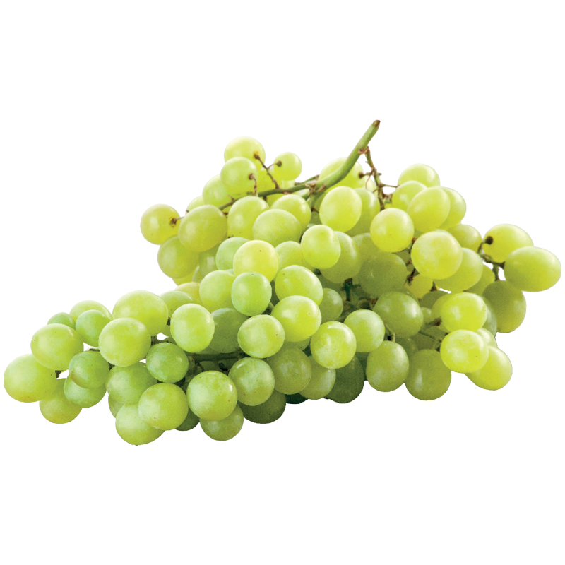 Fehér Szőlő