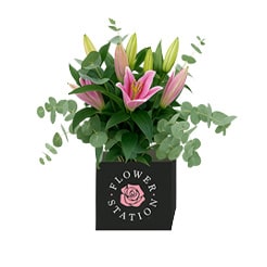 Flowers, plants and vases