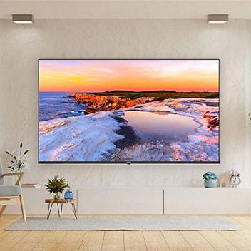 Televisions
