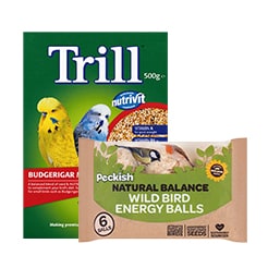 Small animals