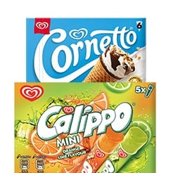 Summer frozen food
