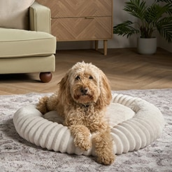 Toys and accessories