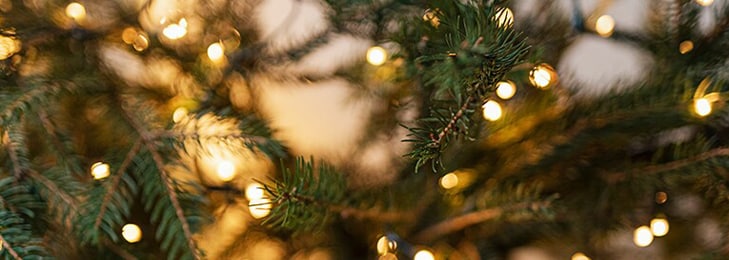 1/3 off Christmas lights