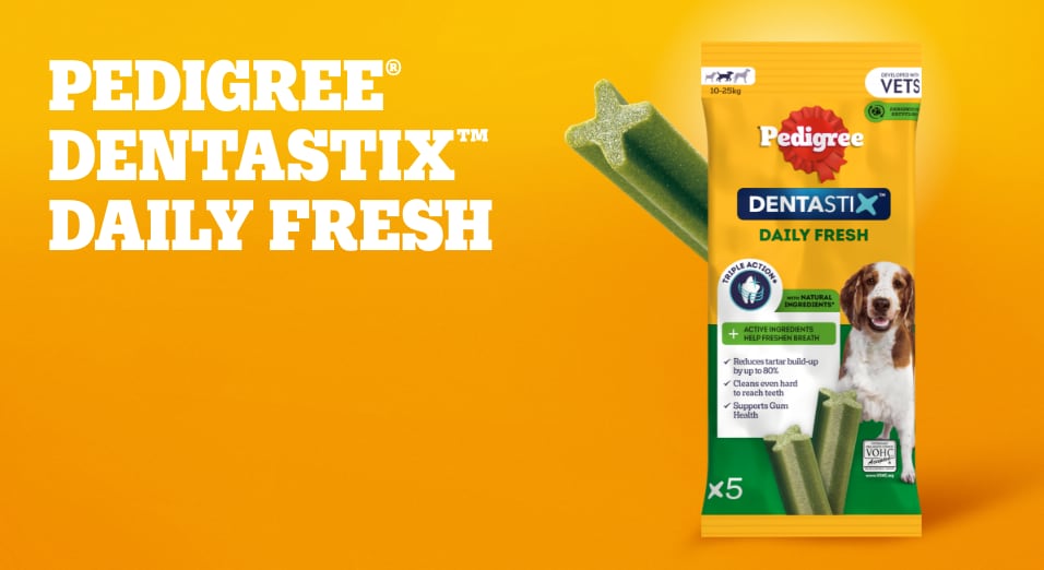 Dentastix daily fresh