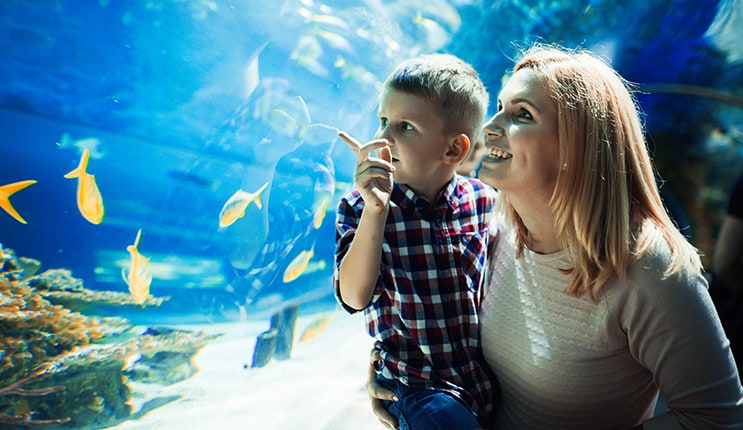 Exchange your points for a day out with Mum