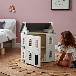 Dolls and accessories