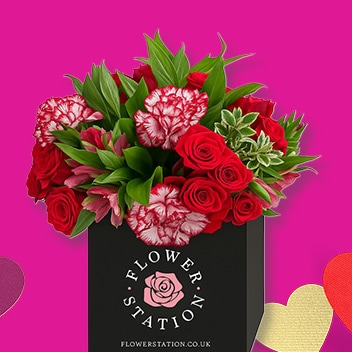 For a blooming beautiful surprise, get them something from our horticulture sellers