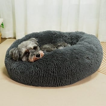 Let your pup curl up in comfort
