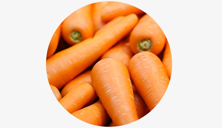 Seasons_best_carrots