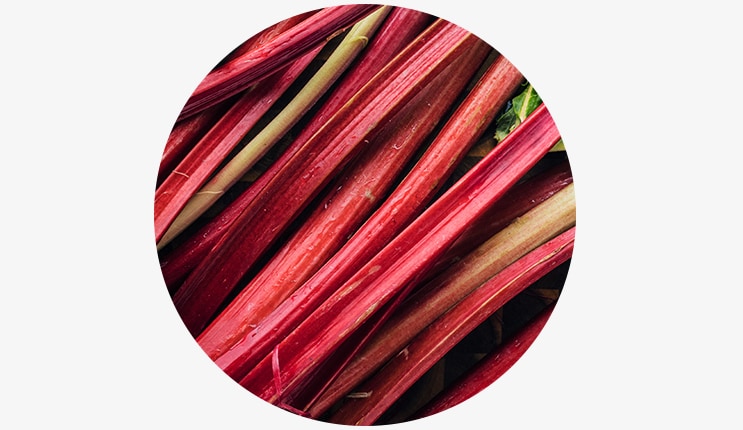 Rhubarb