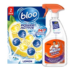 Bathroom cleaning 
