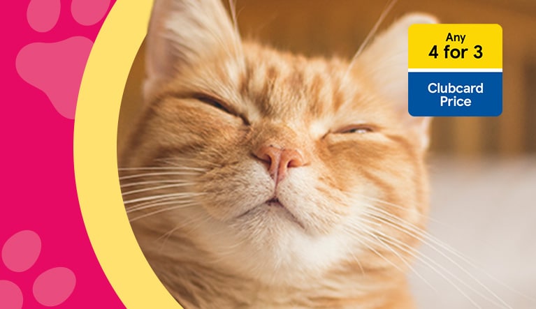  From rabbits to guinea pigs, we have comfy homes for all your pets