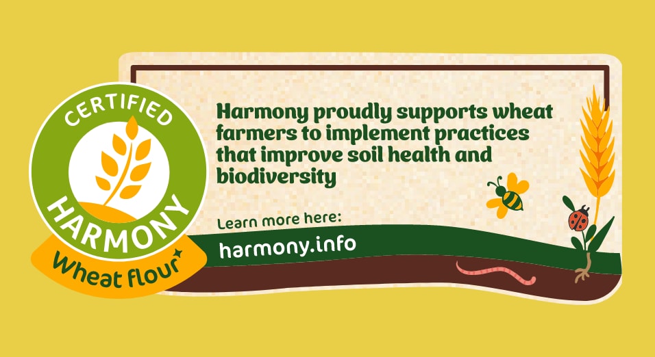 Discover Harmony
