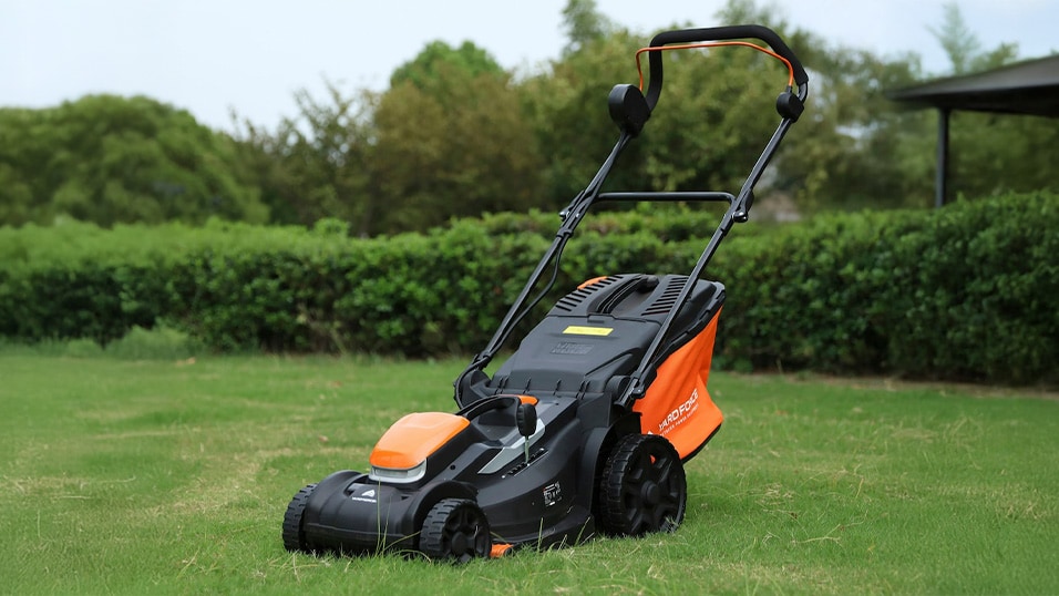 Fresh deals on garden and outdoor