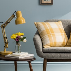 Home and pet essentials	